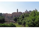 Roman Forum 6-2