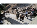 Donkey rides down, Acropolis, Lindos, Rhodes
