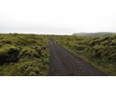Old Lava field, Skaftafell to Vik