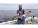 Andy's 27.5 inch Walleye