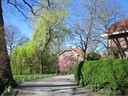 Snouck van Loosen park public gardens