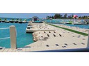Glass bottom Boat Dock Area