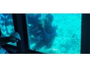 Nautilus Undersea Tour